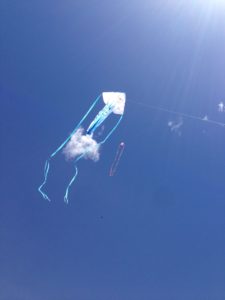 Kites fly above St George Kite Festival