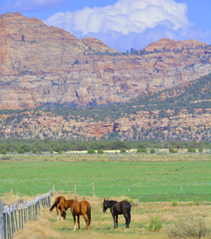 Horse Property in St. George Utah