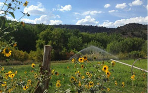 Gunlock Utah in the Spring