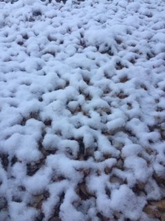 Snow on the rocks in St George